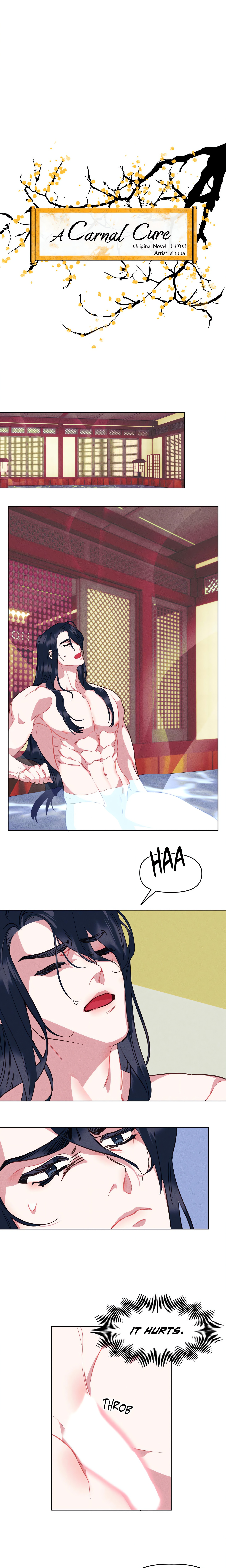 A Carnal Cure (Official) chapter 13 page 5