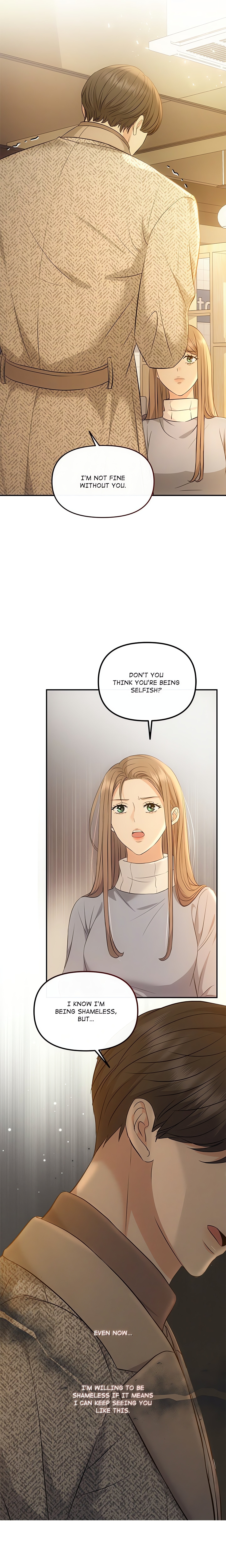 A Consensual Relationship chapter 51 page 14
