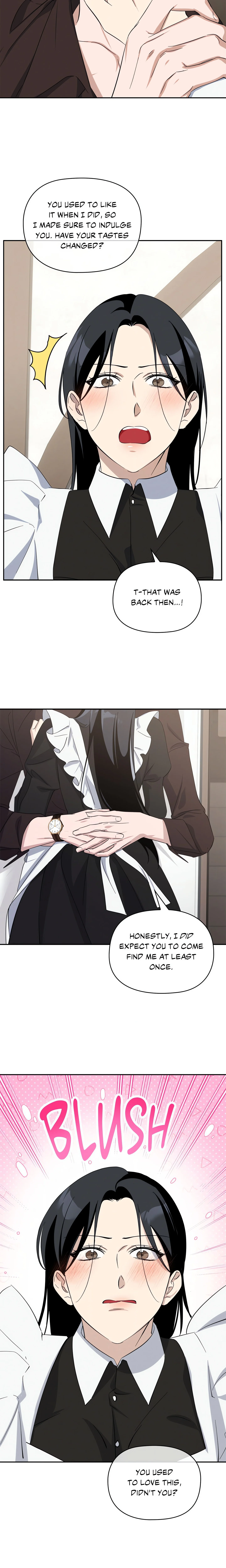 A Maid’s Playful Duties (Uncensored) chapter 8 page 11
