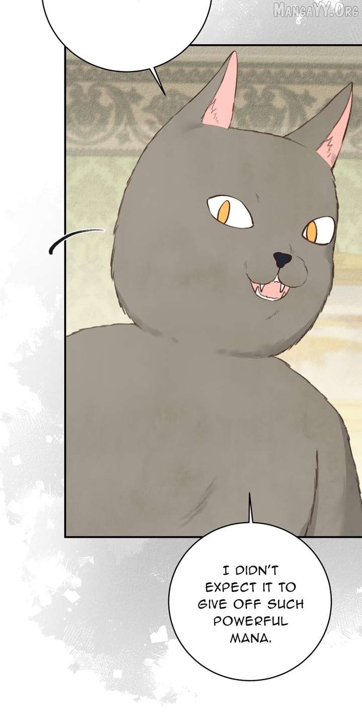 Alissa and the Magic Diary chapter 33 page 77