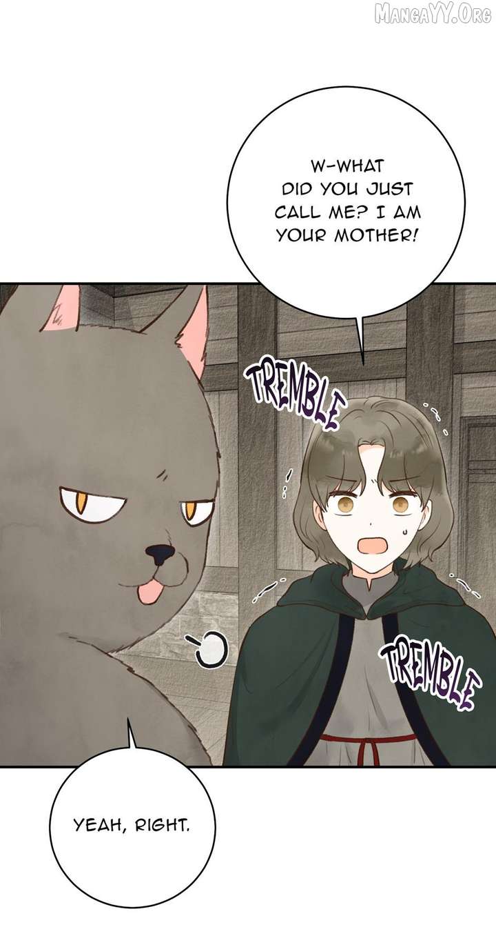 Alissa and the Magic Diary chapter 41 page 70