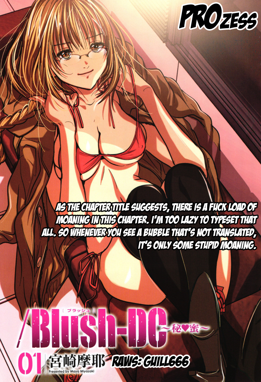 /Blush-DC: Himitsu chapter 13 page 24