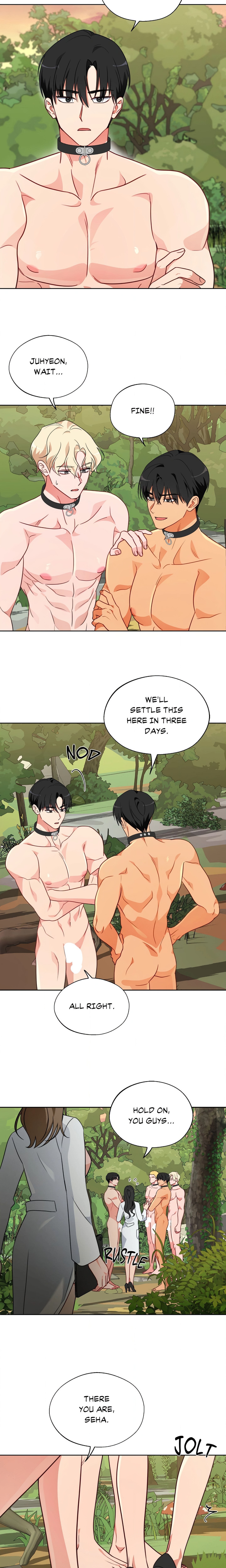 Breeding Protocol chapter 12 page 4