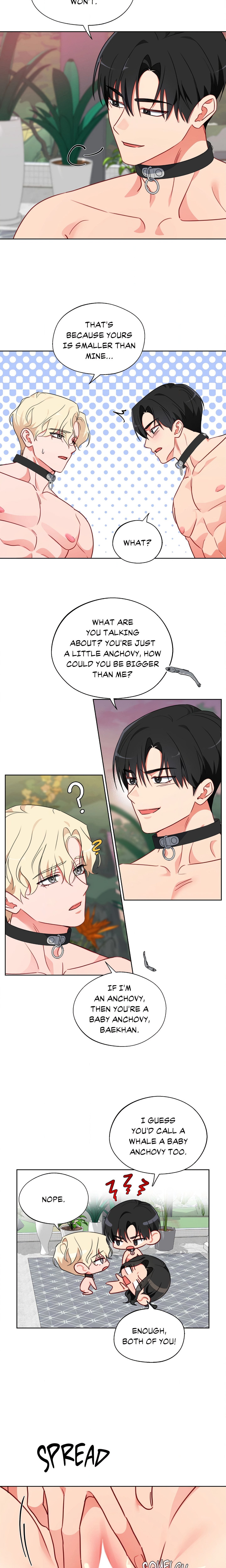 Breeding Protocol chapter 15 page 11
