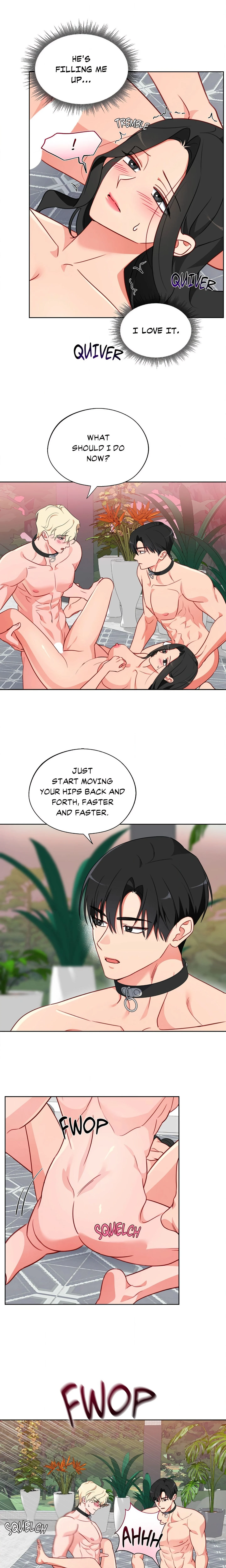 Breeding Protocol chapter 15 page 13