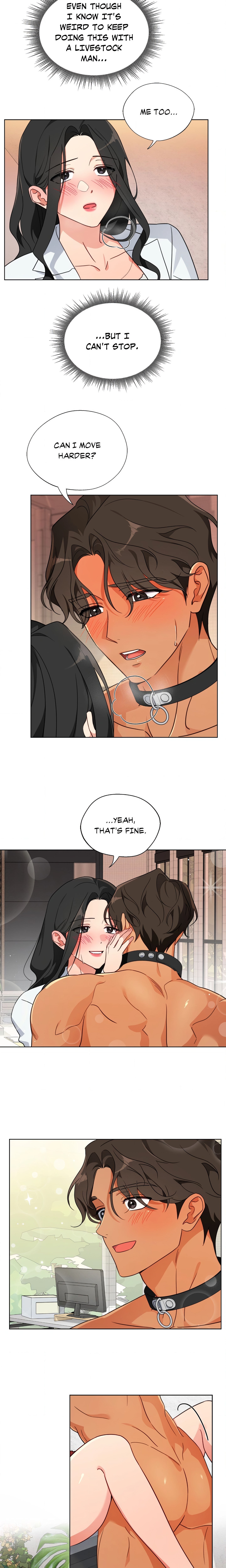 Breeding Protocol chapter 3 page 8