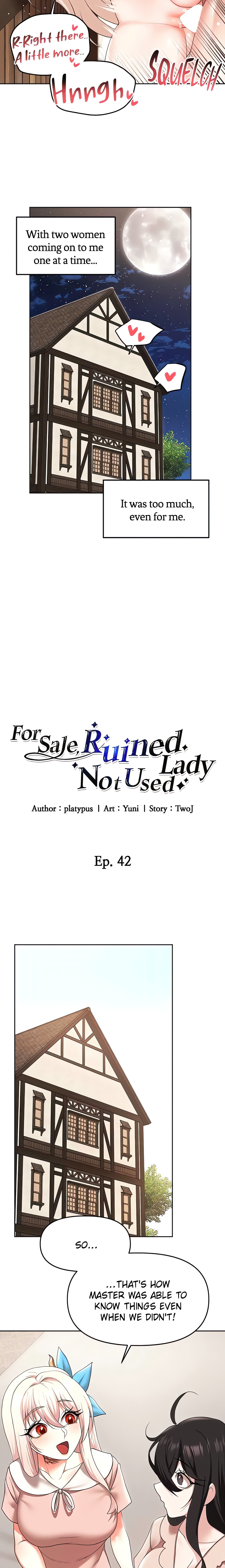 For Sale. Ruined Lady. Not Used. (Official) chapter 42 page 10