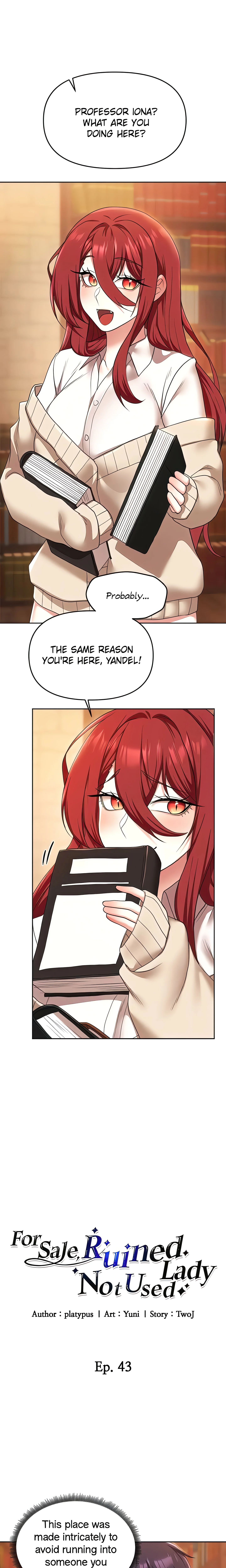 For Sale. Ruined Lady. Not Used. (Official) chapter 43 page 1