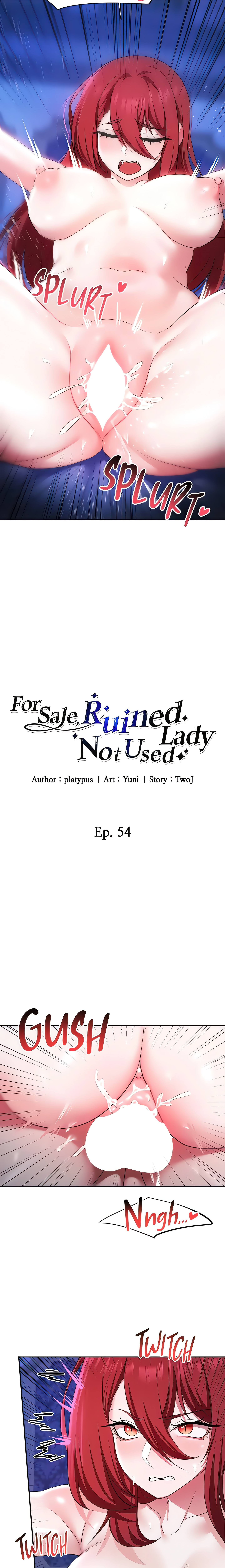 For Sale. Ruined Lady. Not Used. (Official) chapter 54 page 2