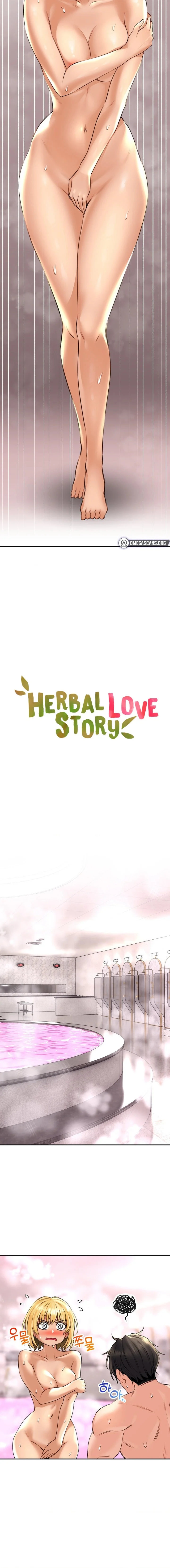 Herbal Love Story chapter 14 page 2