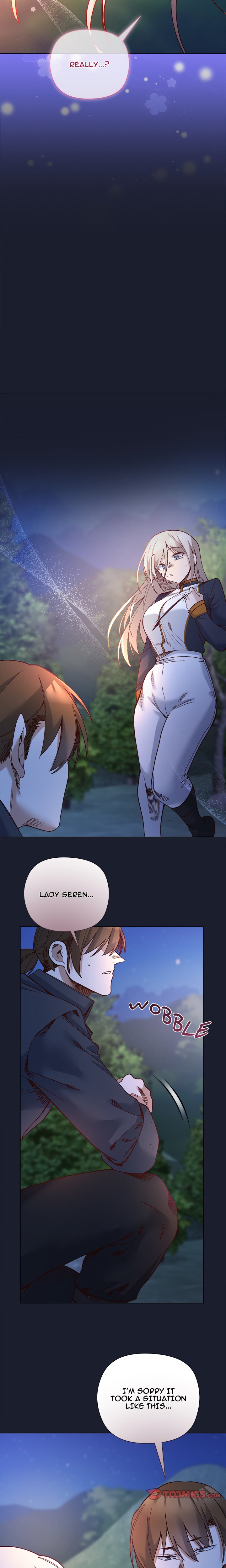 I Will Protect the Lady chapter 53 page 15