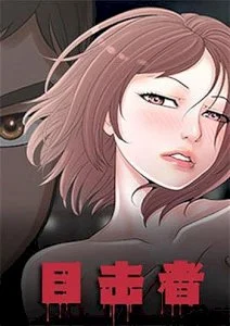 Island Puzzle cover