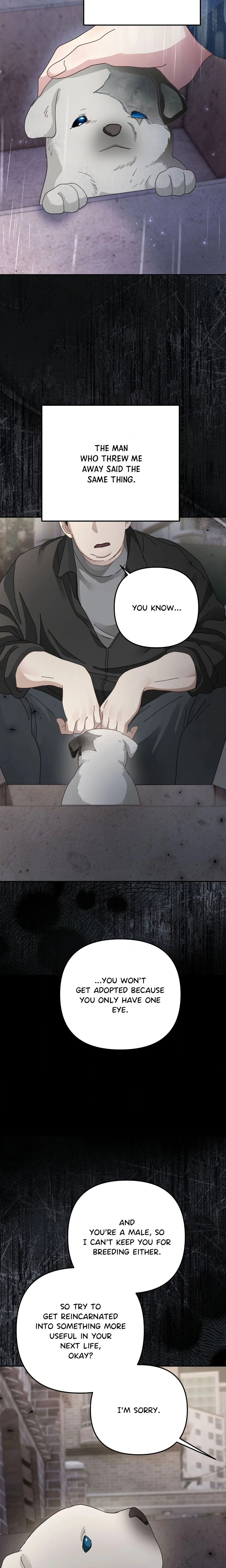 Kingdom of Innocence (Uncensored) chapter 37 page 7