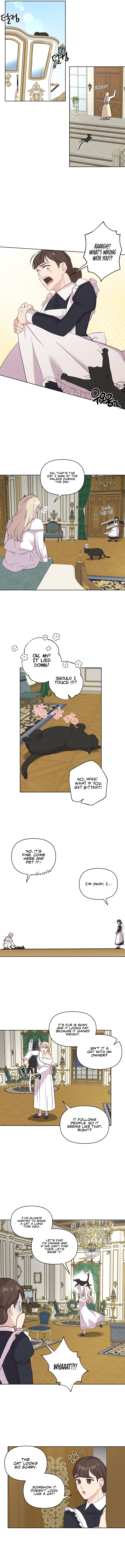 Lady Elisha’s Diary of Debauchery chapter 15 page 8