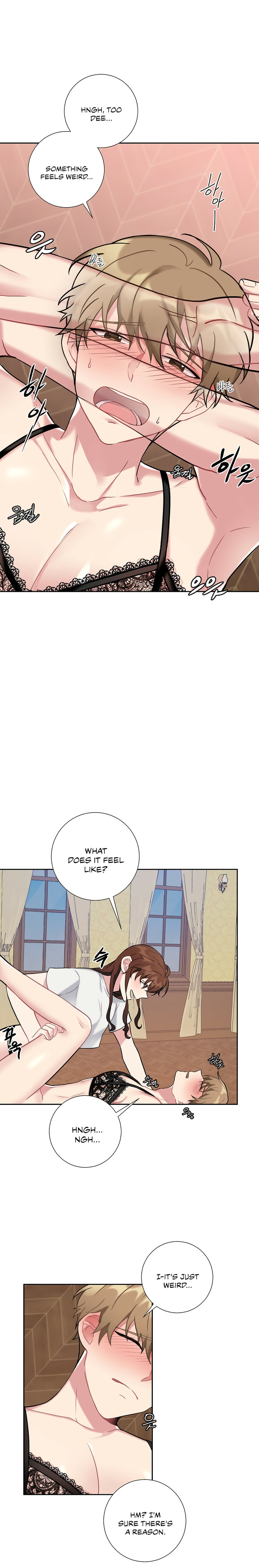 Lady & Maid chapter 18 page 19