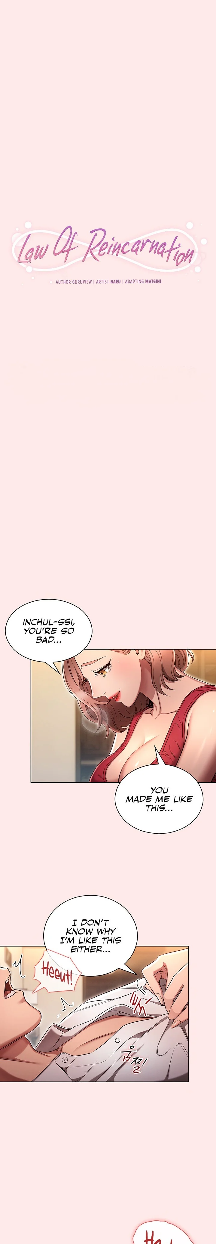 Law Of Reincarnation chapter 3 page 13