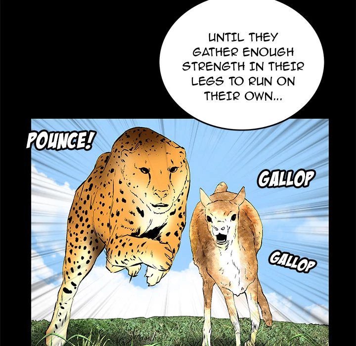 Masochist chapter 17 page 74