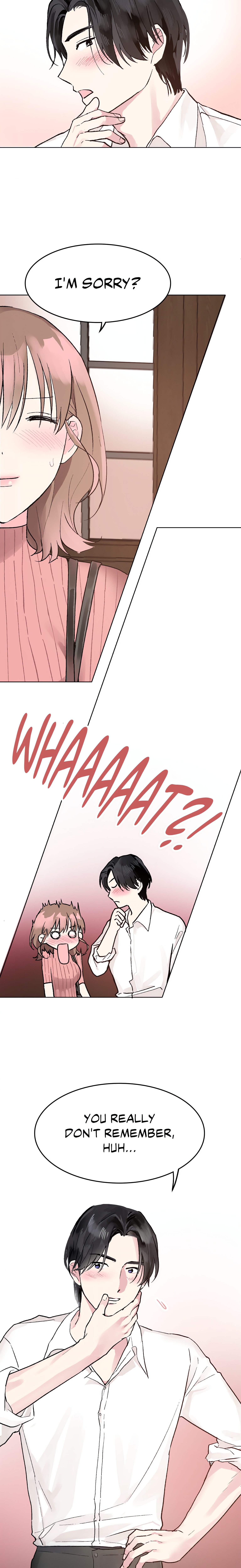 My Amnesiac Affairs chapter 2 page 16