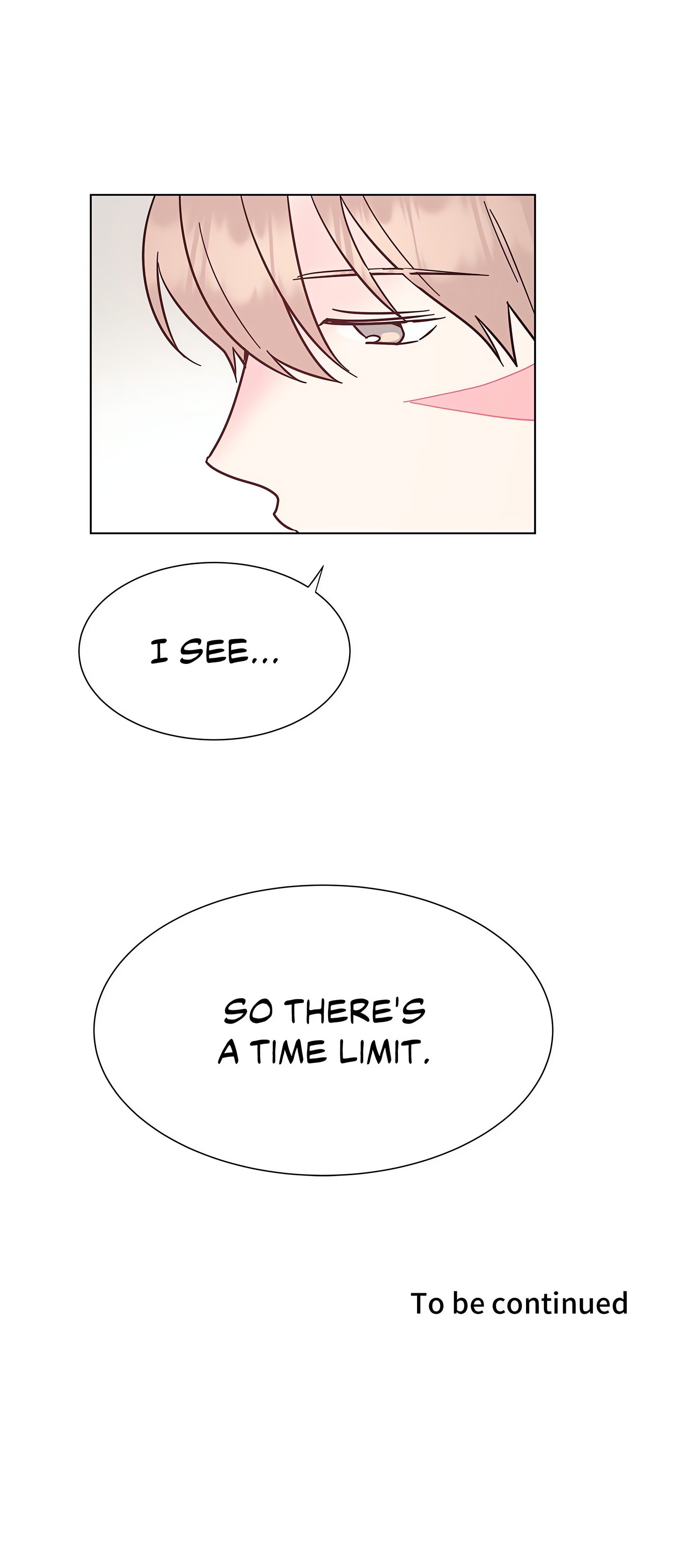 My Amnesiac Affairs chapter 40 page 12