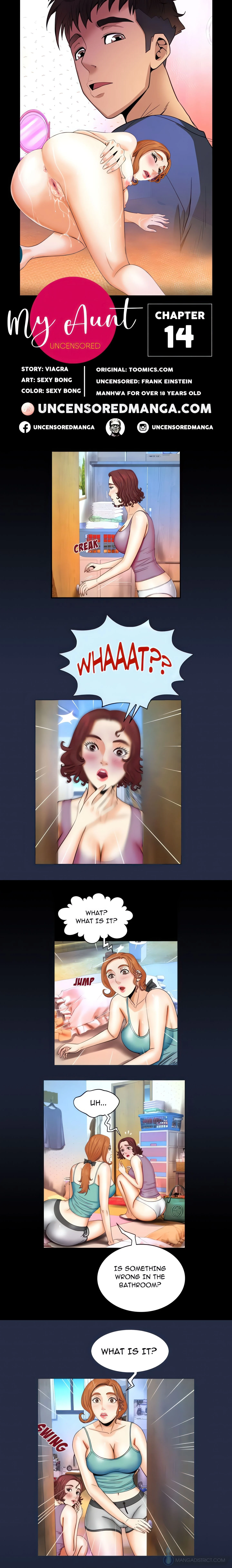 My Aunt / Secret Life (Uncensored Fan Edition) chapter 14 page 1