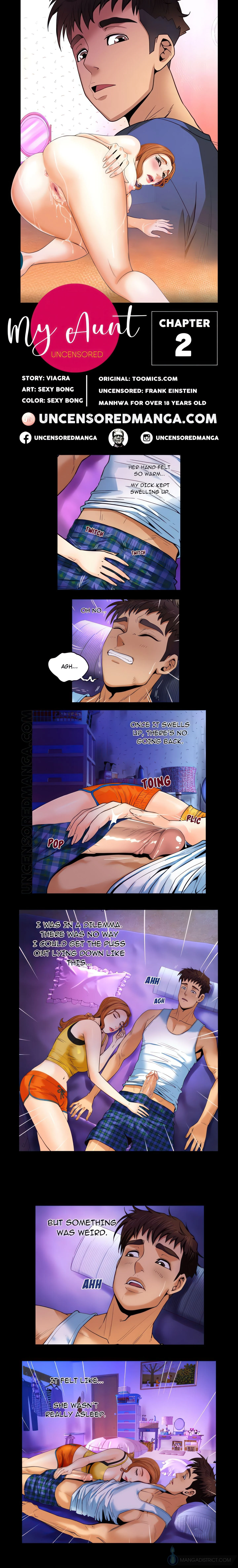 My Aunt / Secret Life (Uncensored Fan Edition) chapter 2 page 1