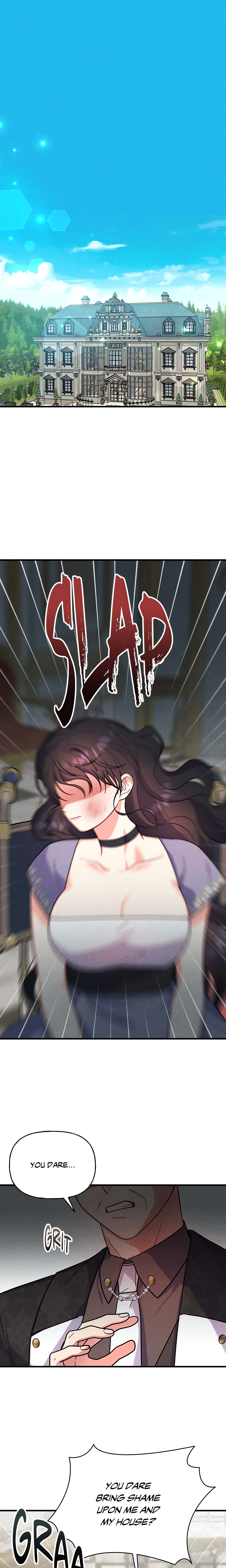 My Lady’s Midnight Affairs chapter 11 page 2