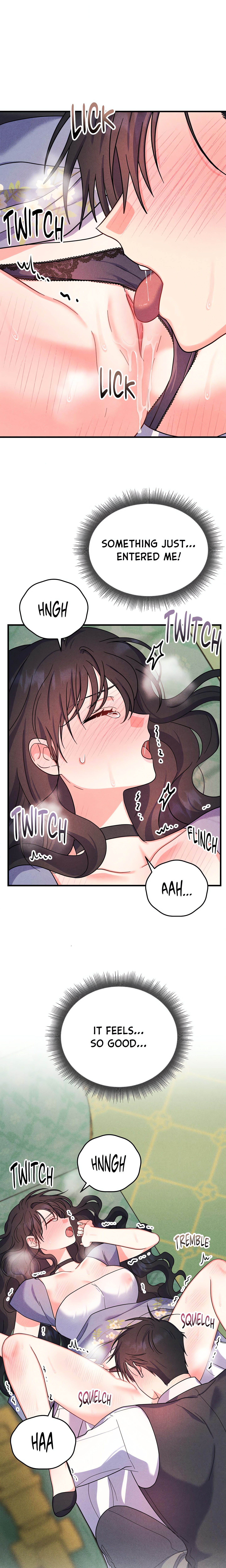 My Lady’s Midnight Affairs chapter 12 page 3