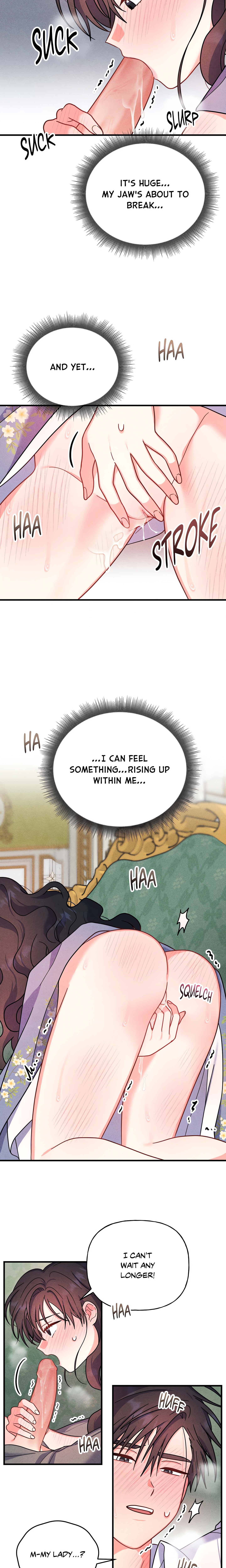 My Lady’s Midnight Affairs chapter 12 page 13