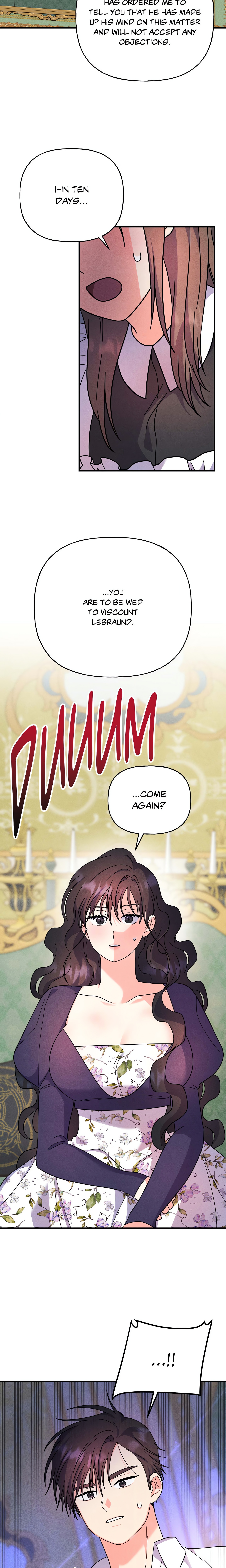 My Lady’s Midnight Affairs chapter 14 page 11