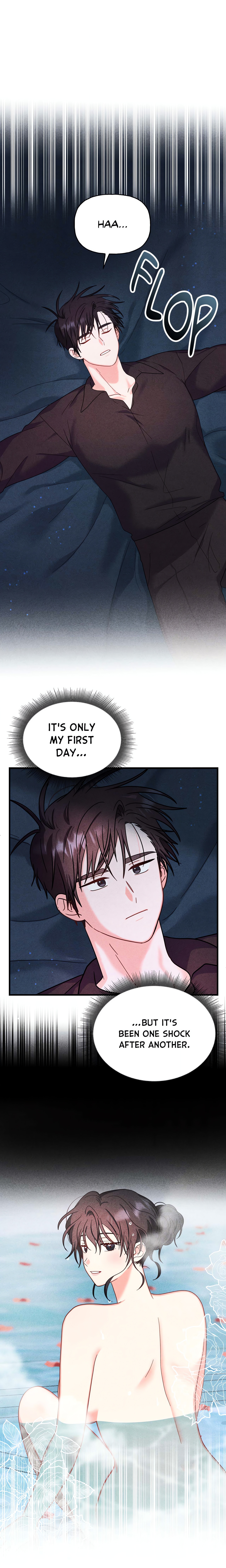 My Lady’s Midnight Affairs chapter 2 page 17