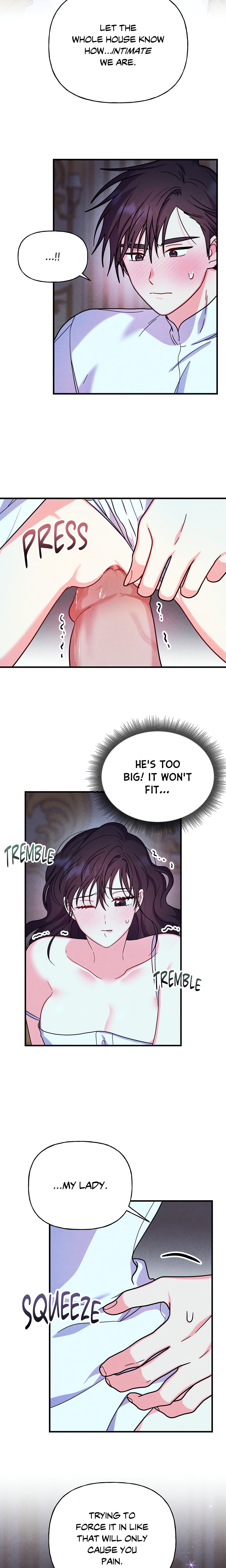 My Lady’s Midnight Affairs chapter 6 page 6