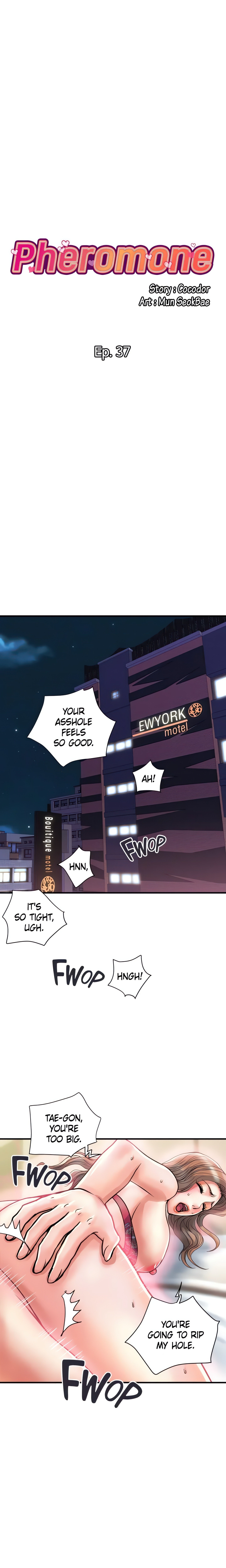 Pheromone (Official) chapter 37 page 1