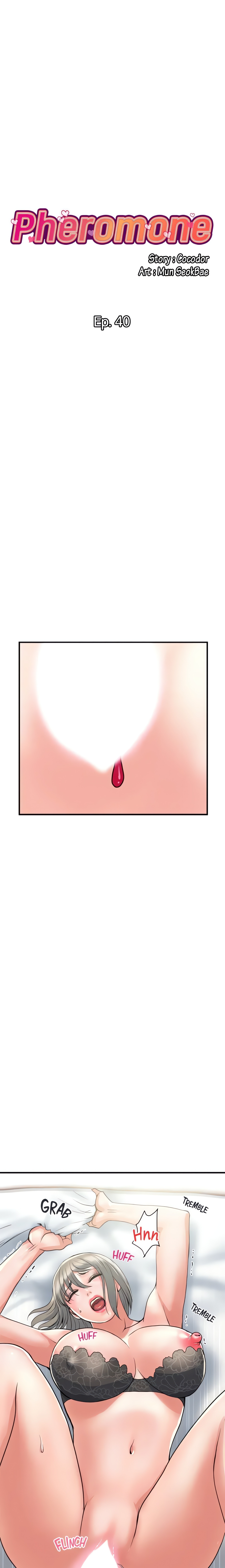 Pheromone (Official) chapter 40 page 1