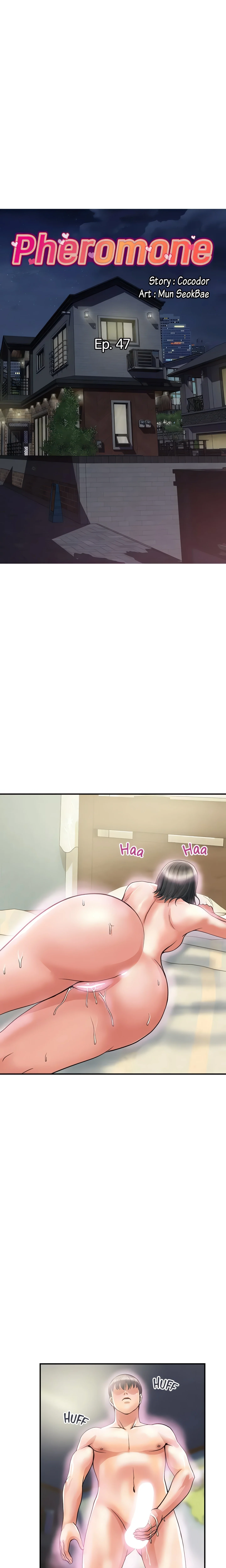 Pheromone (Official) chapter 47 page 1