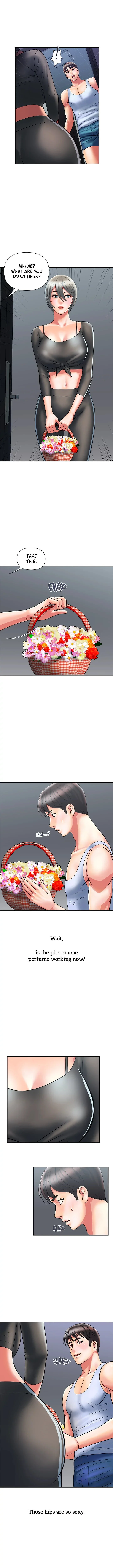 Pheromones chapter 15 page 1