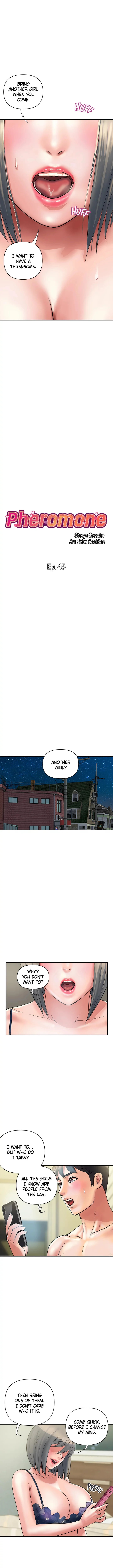 Pheromones chapter 45 page 1