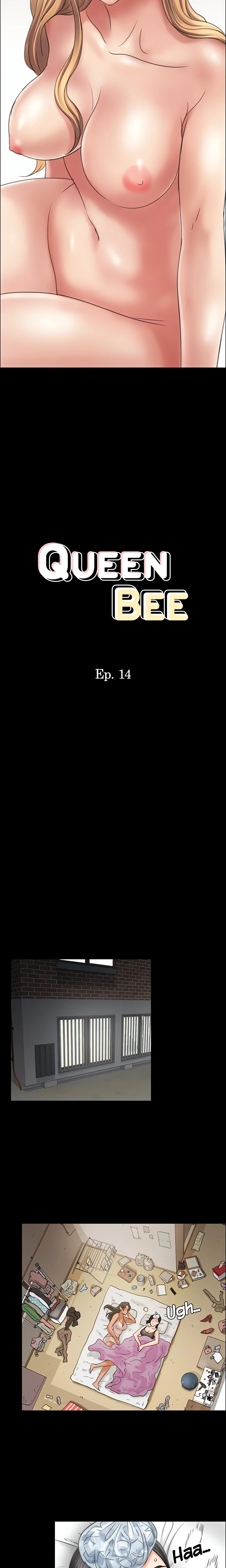 Queen Bee (Andrew) (Official) chapter 14 page 3