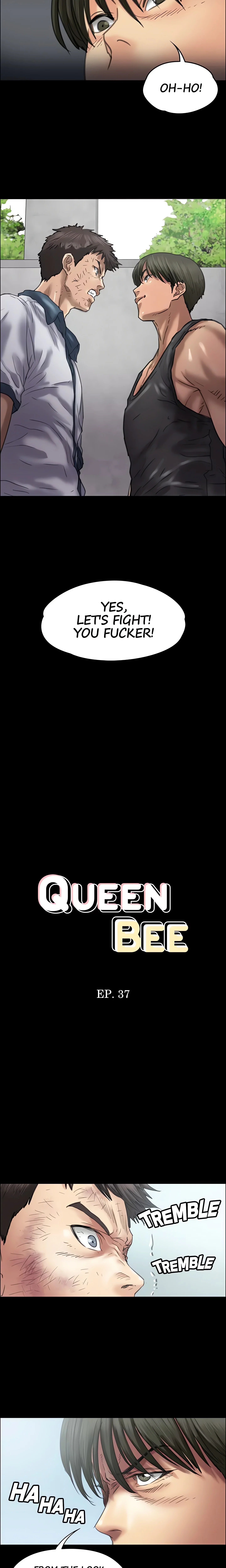 Queen Bee (Andrew) (Official) chapter 37 page 2