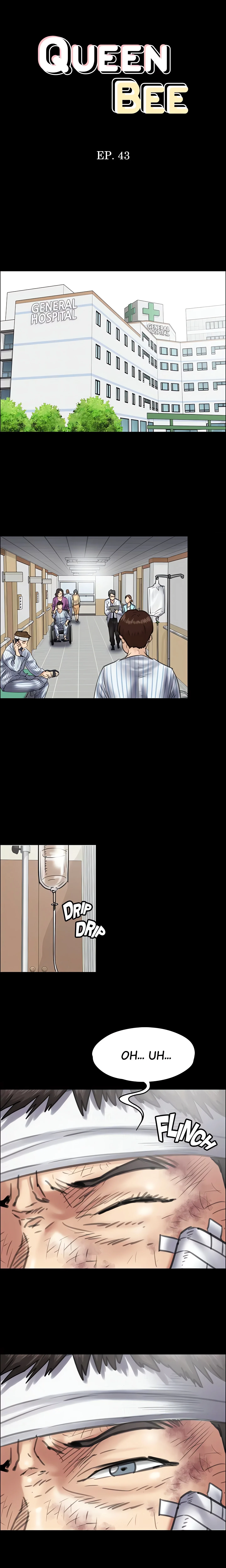 Queen Bee (Andrew) (Official) chapter 43 page 1
