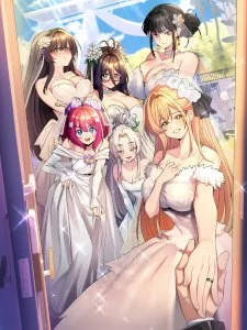 Rented Room Brides cover