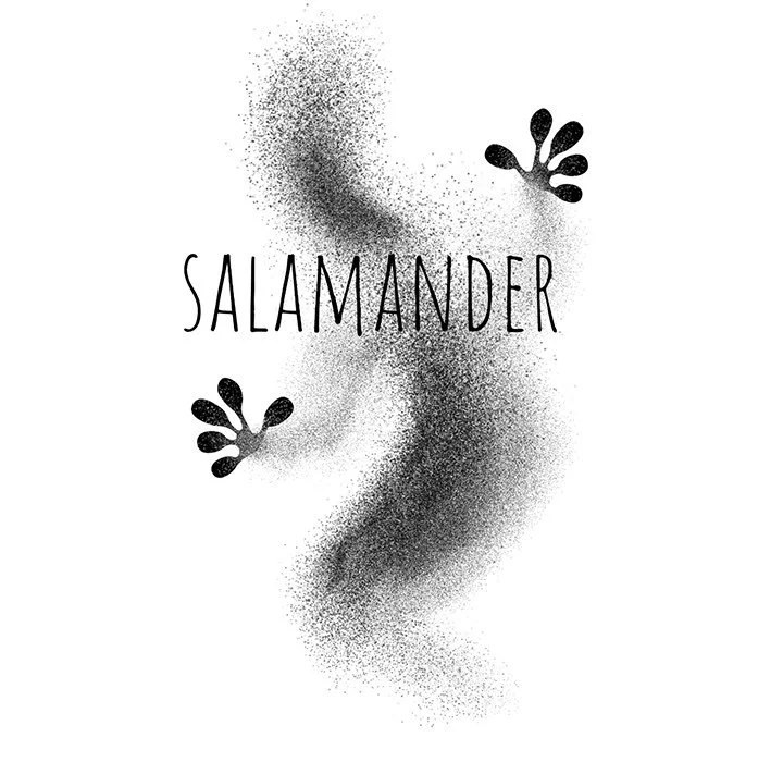 Salamander chapter 17 page 46