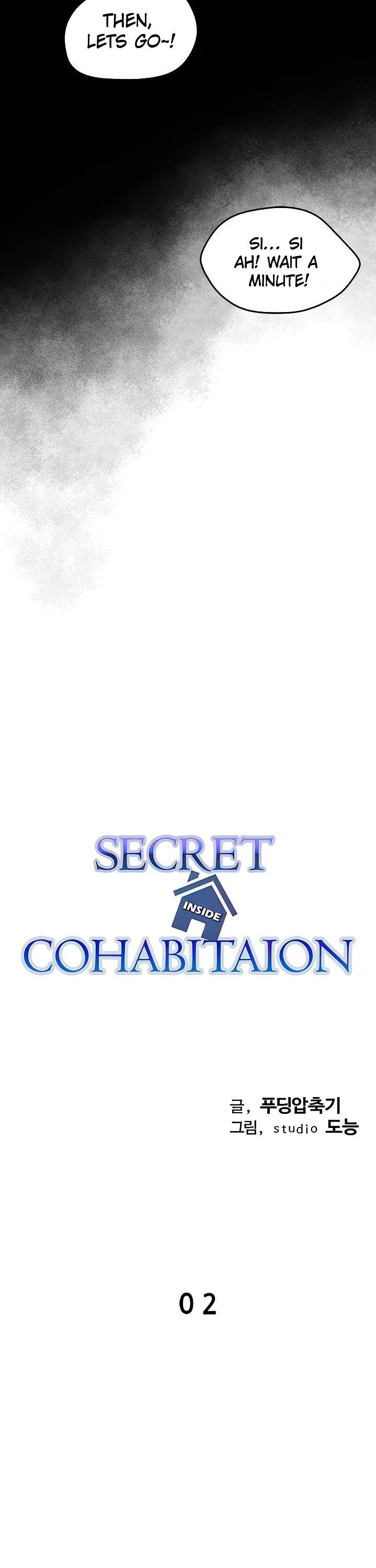 Secret Cohabitation chapter 2 page 21