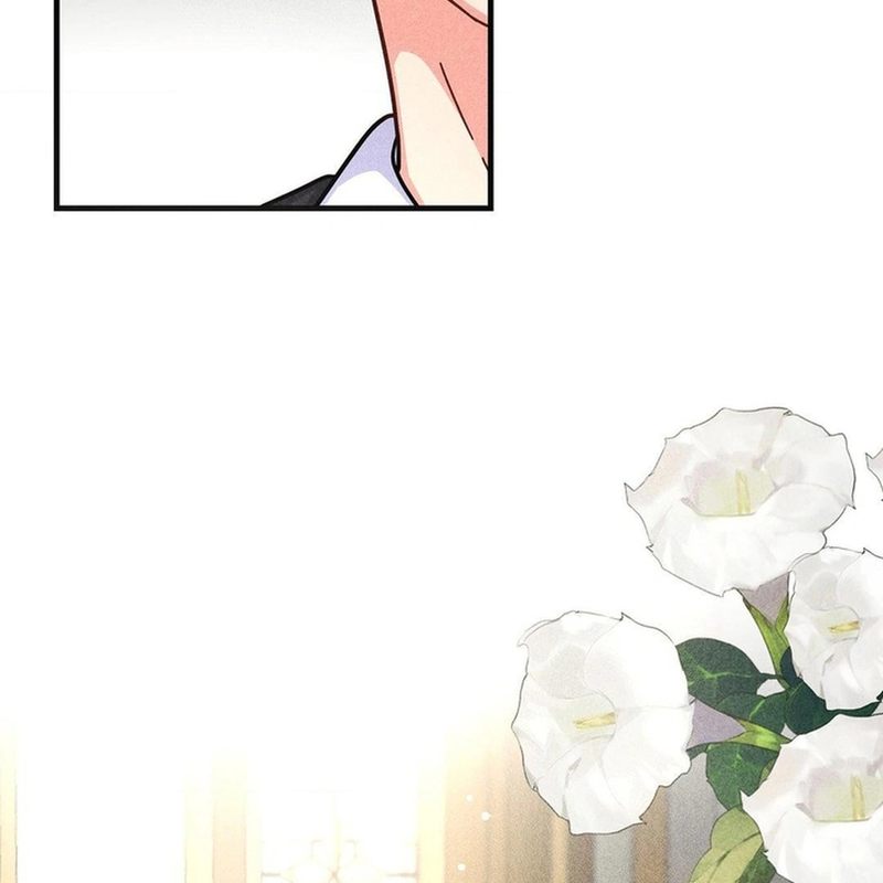 Secret Education with My Lady chapter 3 page 66