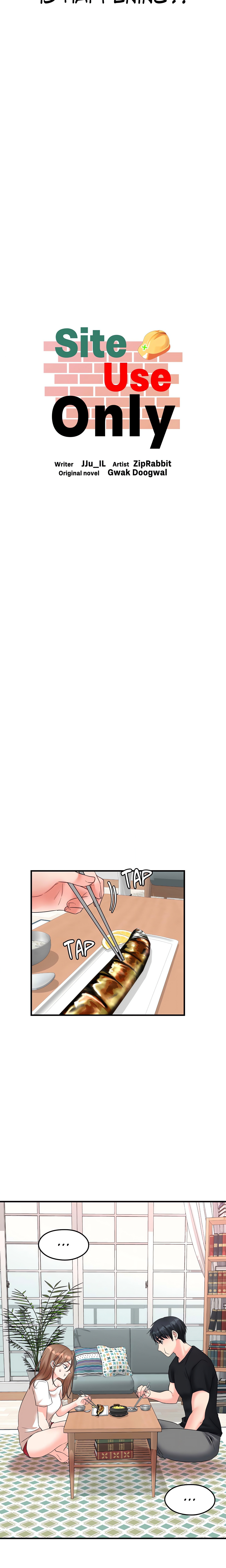 Site Use Only chapter 9 page 9