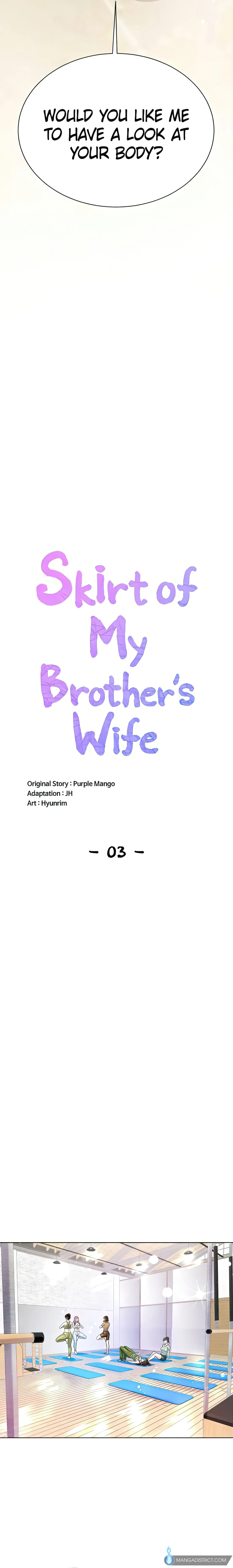 Skirt of My Brother's Wife chapter 3 page 2
