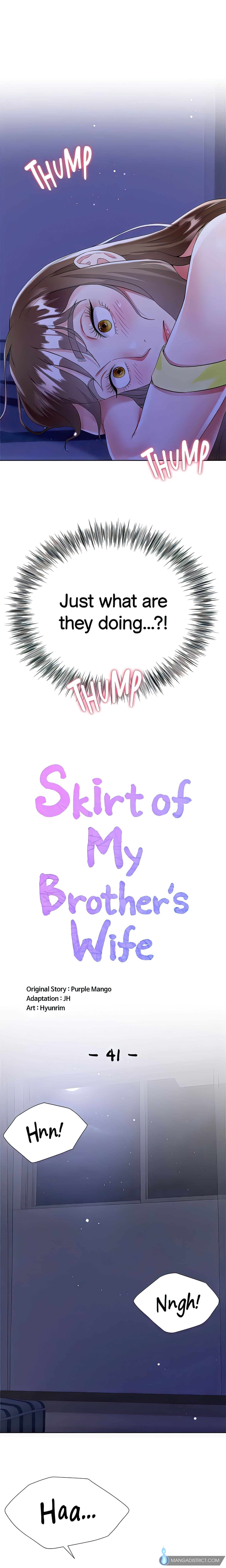 Skirt of My Brother's Wife chapter 41 page 2