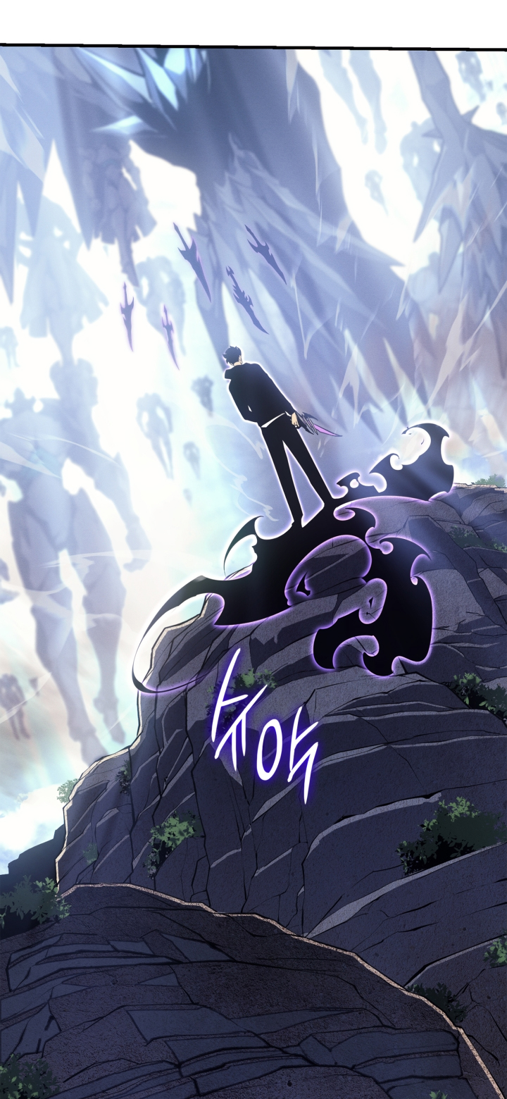 Solo Leveling chapter 185 page 14