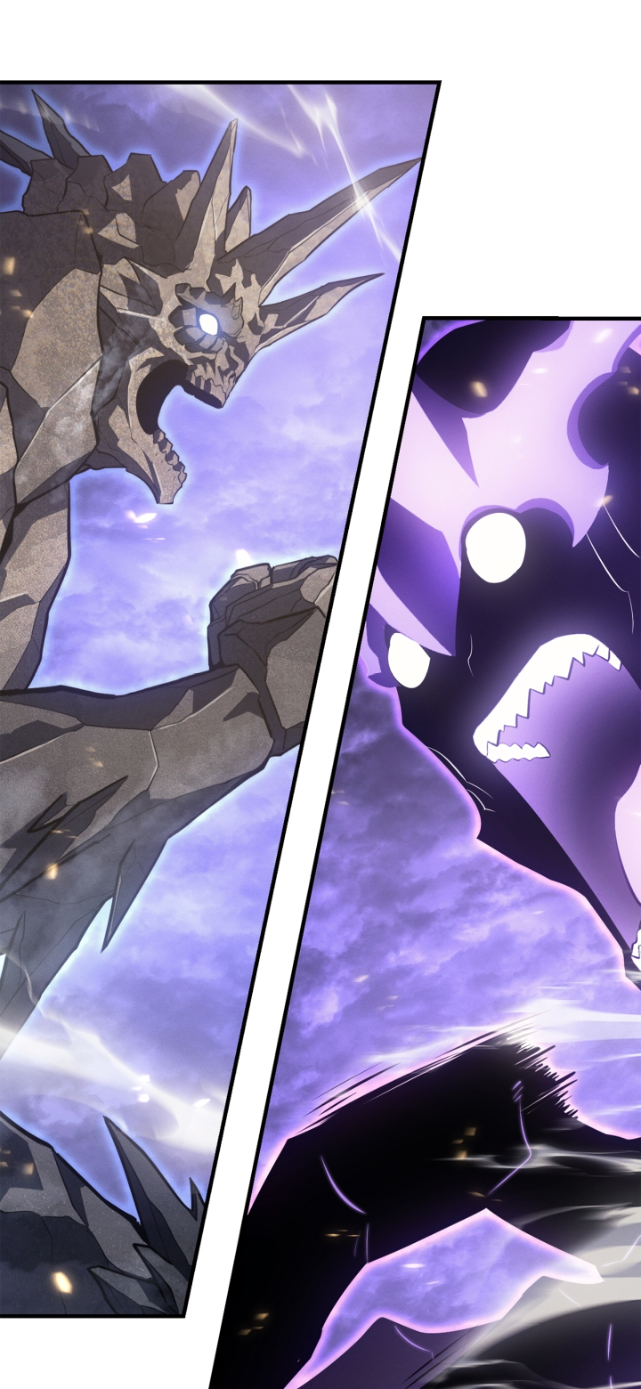 Solo Leveling chapter 185 page 47