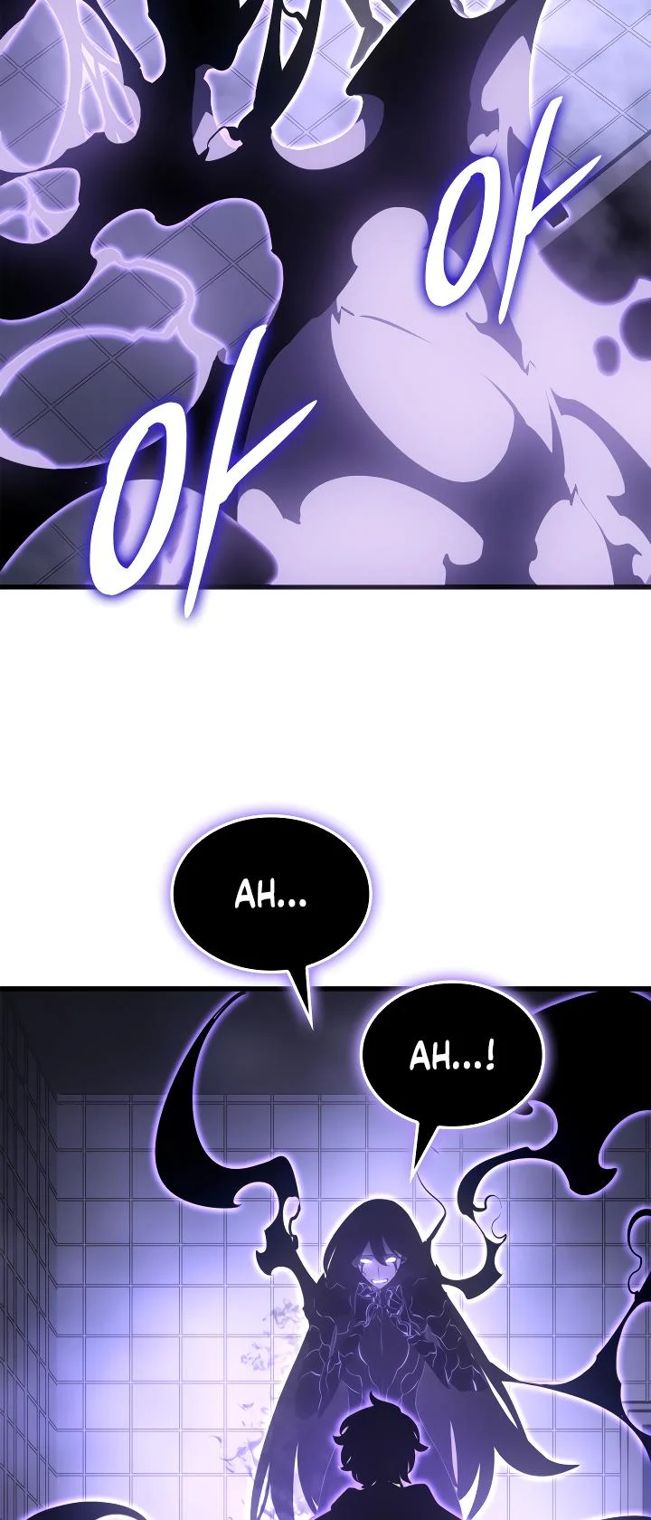 Solo Leveling chapter 191 page 46
