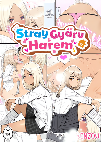 Stray Gyaru Harem cover